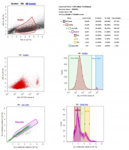 Attune flow cytometer output for HEK293 culture with cytox green and dyecycle violet. 