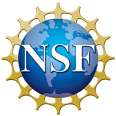 NSF logo low res