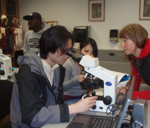 students view cells through a microscope