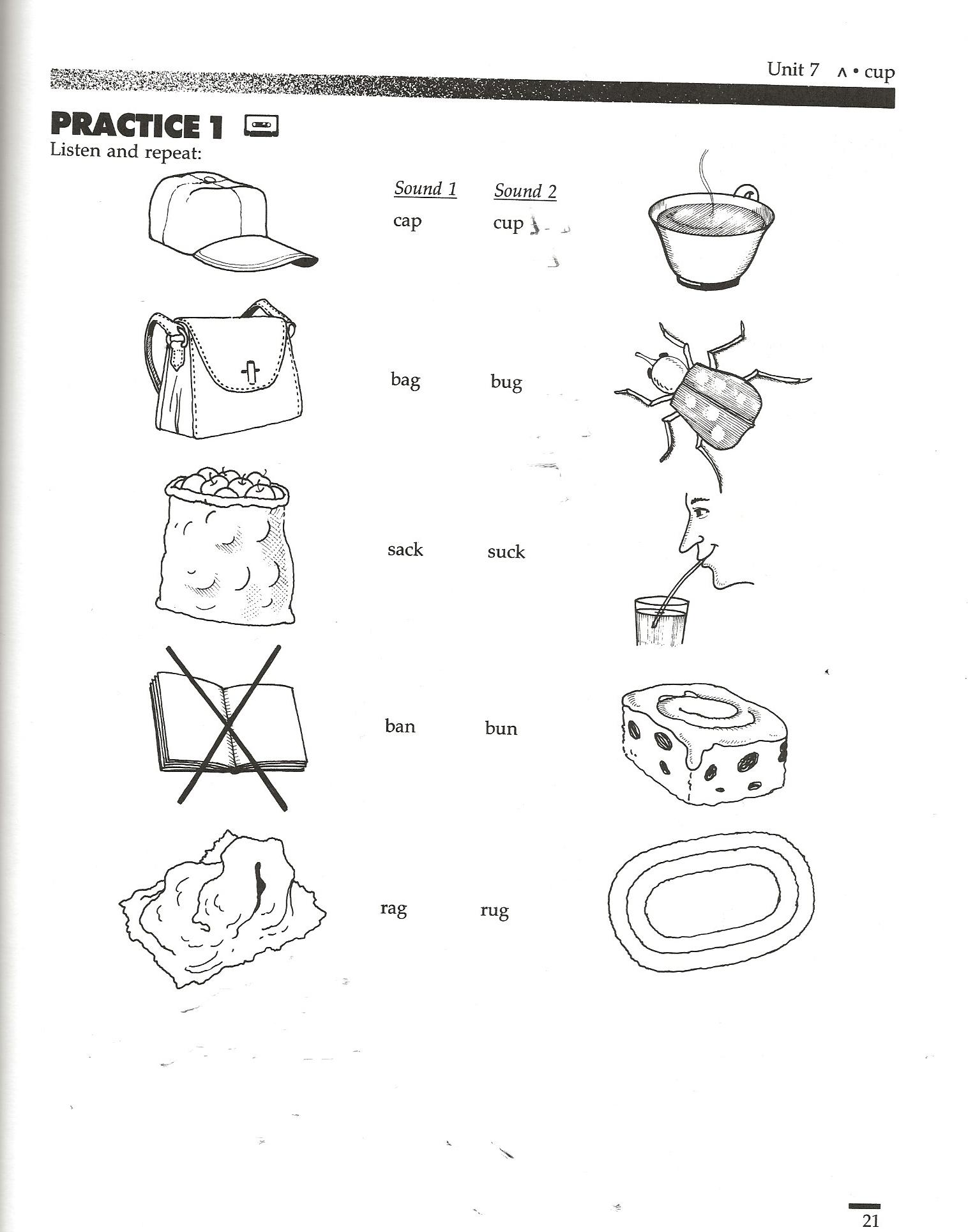 Materials that absorb water worksheet