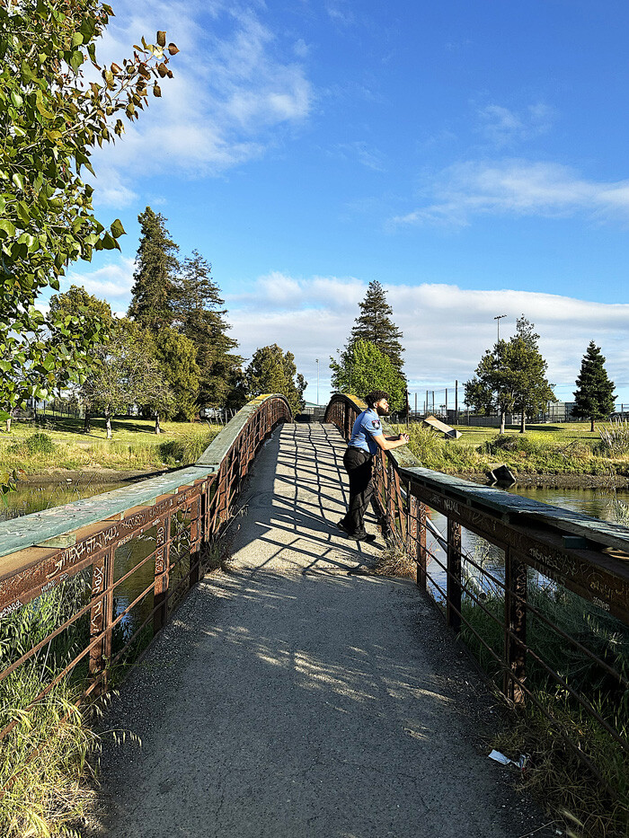 Estuary_IMG_5045_Rozita_Fogelman_2024
