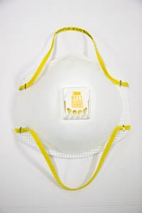 N95 or N100 Mask