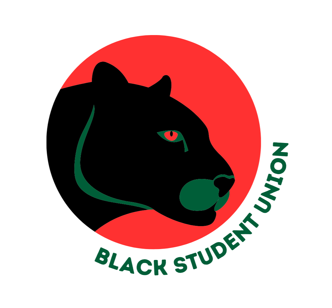BSU Logo (1)-1