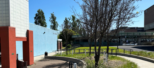 Laney Art Center and Pool