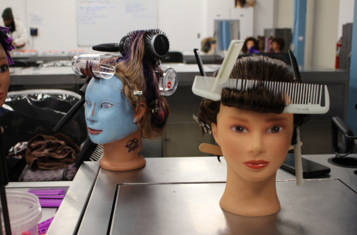 Laney Cosmetology 2
