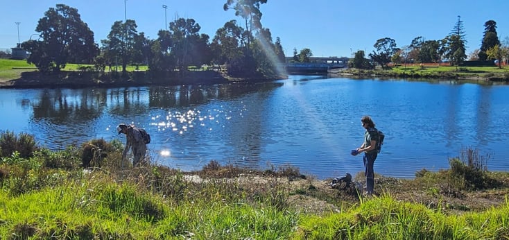 Student campus clean up 2