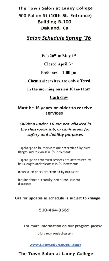 The Town Salon 2026 back