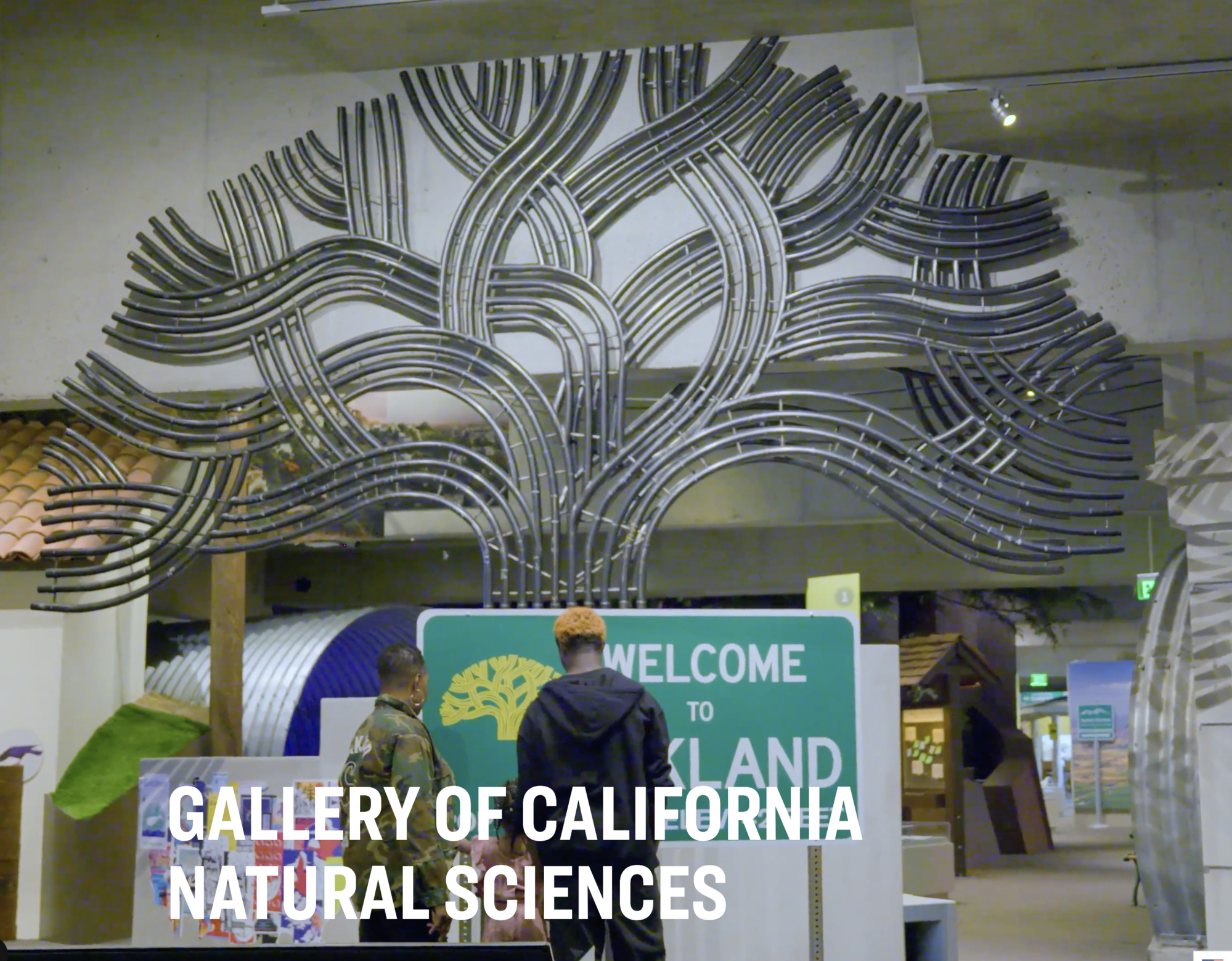 Welcome to Oakland OMCA