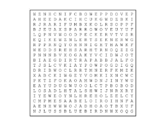 constitution word search