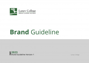 Laney Brand Guideline