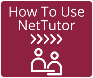 How To Use NetTutor